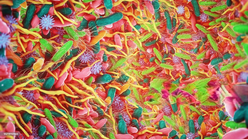 Role of Gut Bacteria in Health